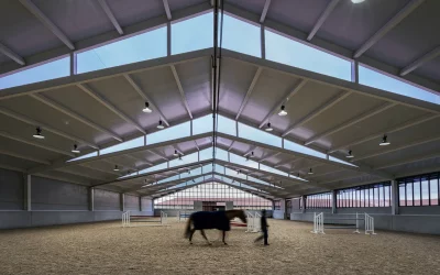 PICADERO DE CABALLOS