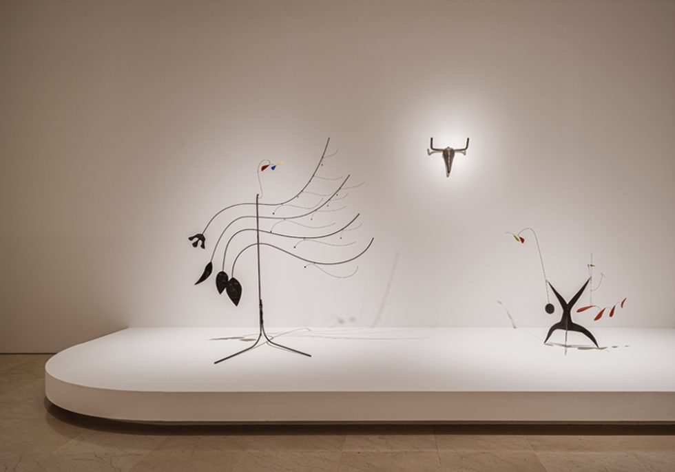 OOIIO Arquitectura Diseño Exposicion