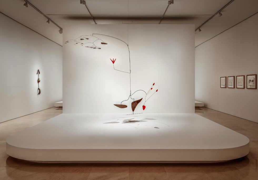 OOIIO Arquitectura Diseño Exposicion