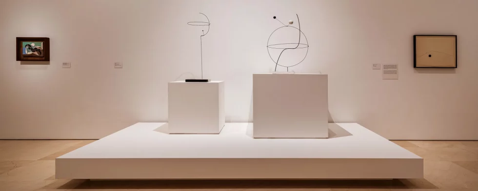 OOIIO Arquitectura Diseño Exposicion