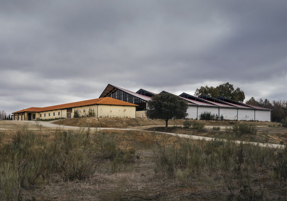 OOIIO Arquitectura Picadero de Caballos