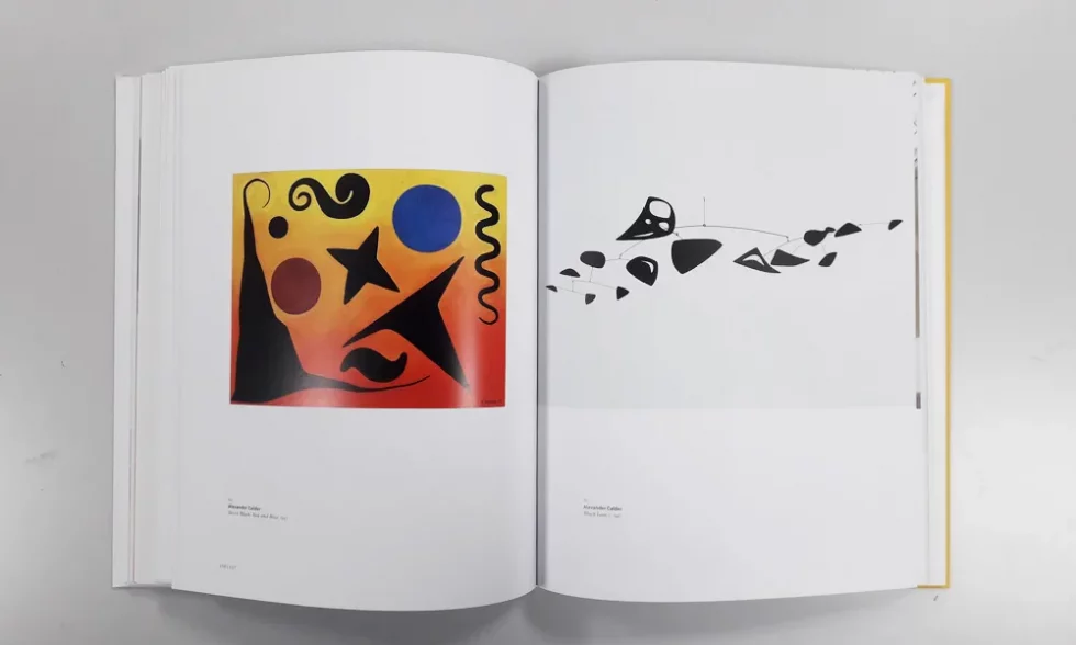 OOIIO-publicación-calder-picaso