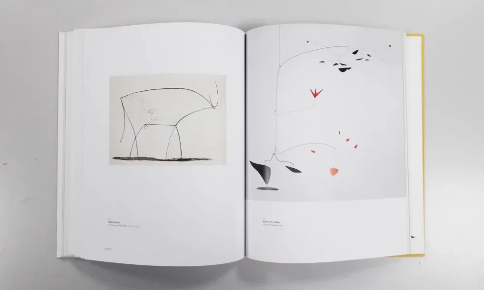OOIIO-publicación-calder-picaso