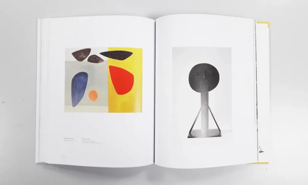 OOIIO-publicación-calder-picaso